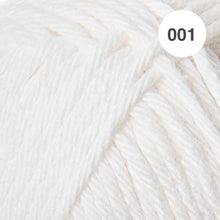 Load image into Gallery viewer, Ricorumi DK Cotton 25g minis