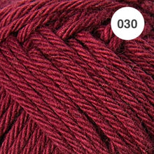 Load image into Gallery viewer, Ricorumi DK Cotton 25g minis