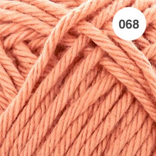 Load image into Gallery viewer, Ricorumi DK Cotton 25g minis