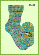 Load image into Gallery viewer, Opal 4-ply Assorted Self-Patterning Limited Editions
