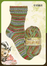 Load image into Gallery viewer, Opal 6-Ply Self-Patterning (sport / DK / #3-4 weight)