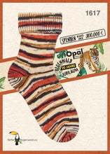 Load image into Gallery viewer, Opal 4-ply 20 "Years of Rainforest" Collection