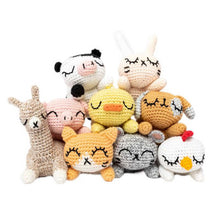 Load image into Gallery viewer, Ricorumi DK Cotton 25g minis
