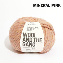 Load image into Gallery viewer, Wool and the Gang Crazy Sexy Wool