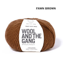 Load image into Gallery viewer, Wool and the Gang Crazy Sexy Wool
