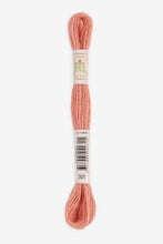 Load image into Gallery viewer, DMC Eco Vita Organic Plant-Dyed Crewel Embroidery Wool