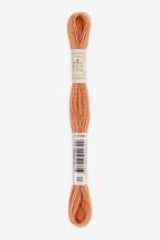 Load image into Gallery viewer, DMC Eco Vita Organic Plant-Dyed Crewel Embroidery Wool