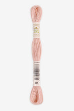 Load image into Gallery viewer, DMC Eco Vita Organic Plant-Dyed Crewel Embroidery Wool