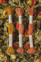 Load image into Gallery viewer, DMC Eco Vita Organic Plant-Dyed Crewel Embroidery Wool
