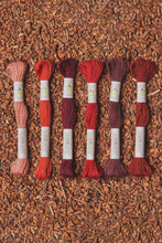 Load image into Gallery viewer, DMC Eco Vita Organic Plant-Dyed Crewel Embroidery Wool
