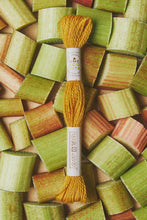 Load image into Gallery viewer, DMC Eco Vita Organic Plant-Dyed Crewel Embroidery Wool