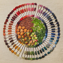 Load image into Gallery viewer, DMC Eco Vita Organic Plant-Dyed Crewel Embroidery Wool