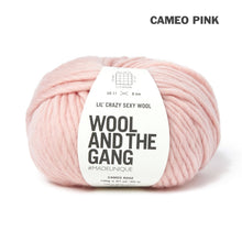 Load image into Gallery viewer, Wool and the Gang Lil' Crazy Sexy Wool