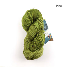 Load image into Gallery viewer, Fleece Artist Zephyr 2.0 Superwash Merino Sport