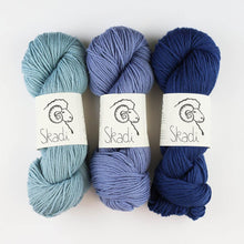 Load image into Gallery viewer, Hey Mama Wolf Skadi Merino d'Arles Worsted