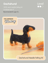 Load image into Gallery viewer, Lunenburg Makery Sculptural Needle Felting Kits
