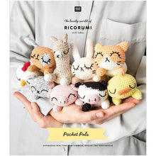 Load image into Gallery viewer, Ricorumi Amigurumi Crochet Pattern Books

