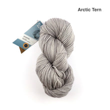 Load image into Gallery viewer, Fleece Artist Zephyr 2.0 Superwash Merino Sport
