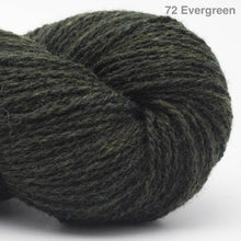 Load image into Gallery viewer, BC Garn Bio Shetland
