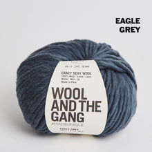 Load image into Gallery viewer, Wool and the Gang Crazy Sexy Wool
