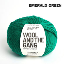 Load image into Gallery viewer, Wool and the Gang Crazy Sexy Wool
