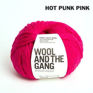 Wool and the Gang Crazy Sexy Wool