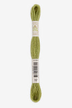 Load image into Gallery viewer, DMC Eco Vita Organic Plant-Dyed Crewel Embroidery Wool
