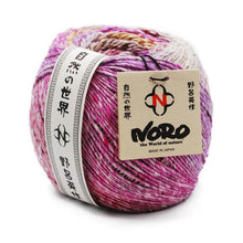 Load image into Gallery viewer, Noro Akari

