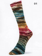 Load image into Gallery viewer, Laines du Nord Mad Socks
