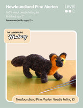 Load image into Gallery viewer, Lunenburg Makery Sculptural Needle Felting Kits
