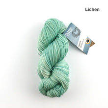 Load image into Gallery viewer, Fleece Artist Zephyr 2.0 Superwash Merino Sport
