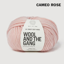 Load image into Gallery viewer, Wool and the Gang Lil' Crazy Sexy Wool
