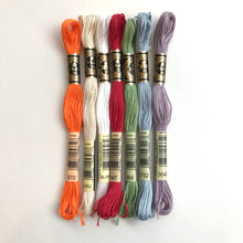 Load image into Gallery viewer, DMC 6-strand Cotton Embroidery Floss: colours 208 - 699 + whites
