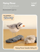 Load image into Gallery viewer, Lunenburg Makery Sculptural Needle Felting Kits
