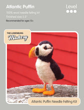 Load image into Gallery viewer, Lunenburg Makery Sculptural Needle Felting Kits
